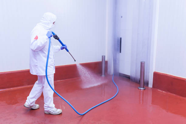 Best Sidewalk and Walkway Cleaning  in Bellevue, MI